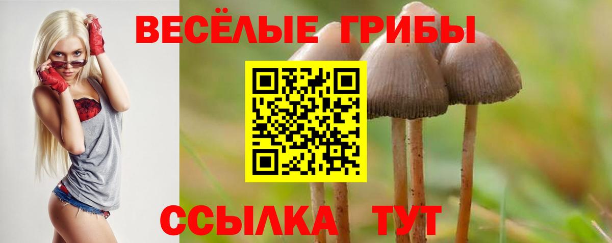 Псилоцибиновые грибы GOLDEN TEACHER  Галлюциногенные грибы ЛСД  Вход с VPN  Назрань 